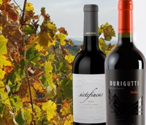 Malbec Herbst